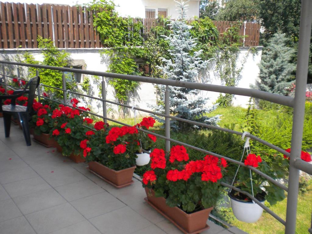 Pension Cluj Exterior foto